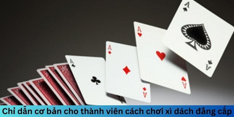 Chỉ dẫn cơ bản cho thành viên cách chơi xì dách đẳng cấp