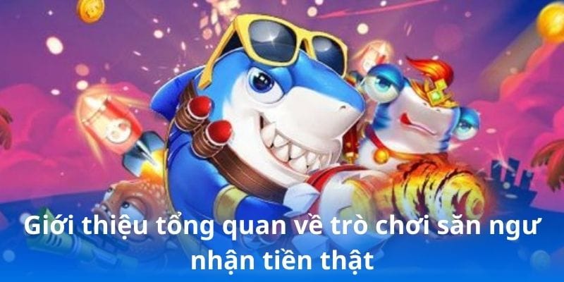 Giới thiệu tổng quan về trò chơi săn ngư nhận tiền thật